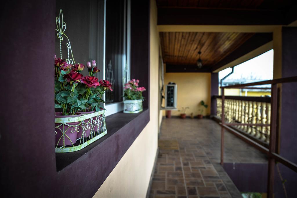 Collosal Apartment With Garden Bucareste Exterior foto